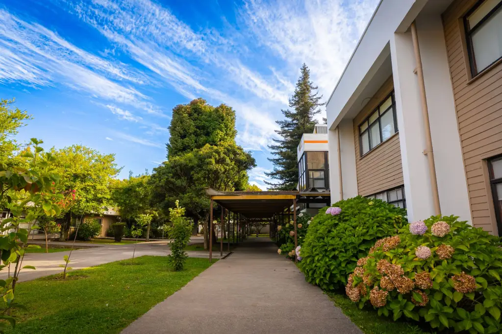 多场景数字营销方案设计：志宁传媒全渠道整合实践