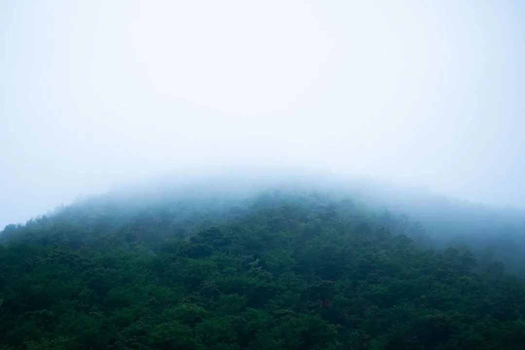 户外广告与数字营销渠道整合的媒介代理服务方案解析